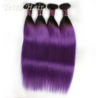 Extensões roxas do cabelo de Remy do russo, Weave de seda natural do cabelo reto com delicado